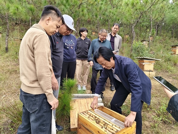 检查示范蜂场.jpg